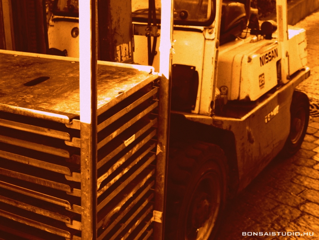 marczika bonsai kerteszet erd hungary bonsai studio